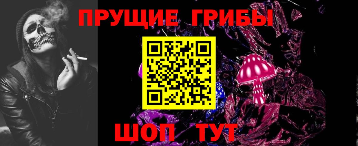 Псилоцибиновые грибы мицелий Торжок
